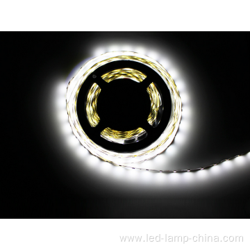 Christmas decorative 18W/M 5630 led strip